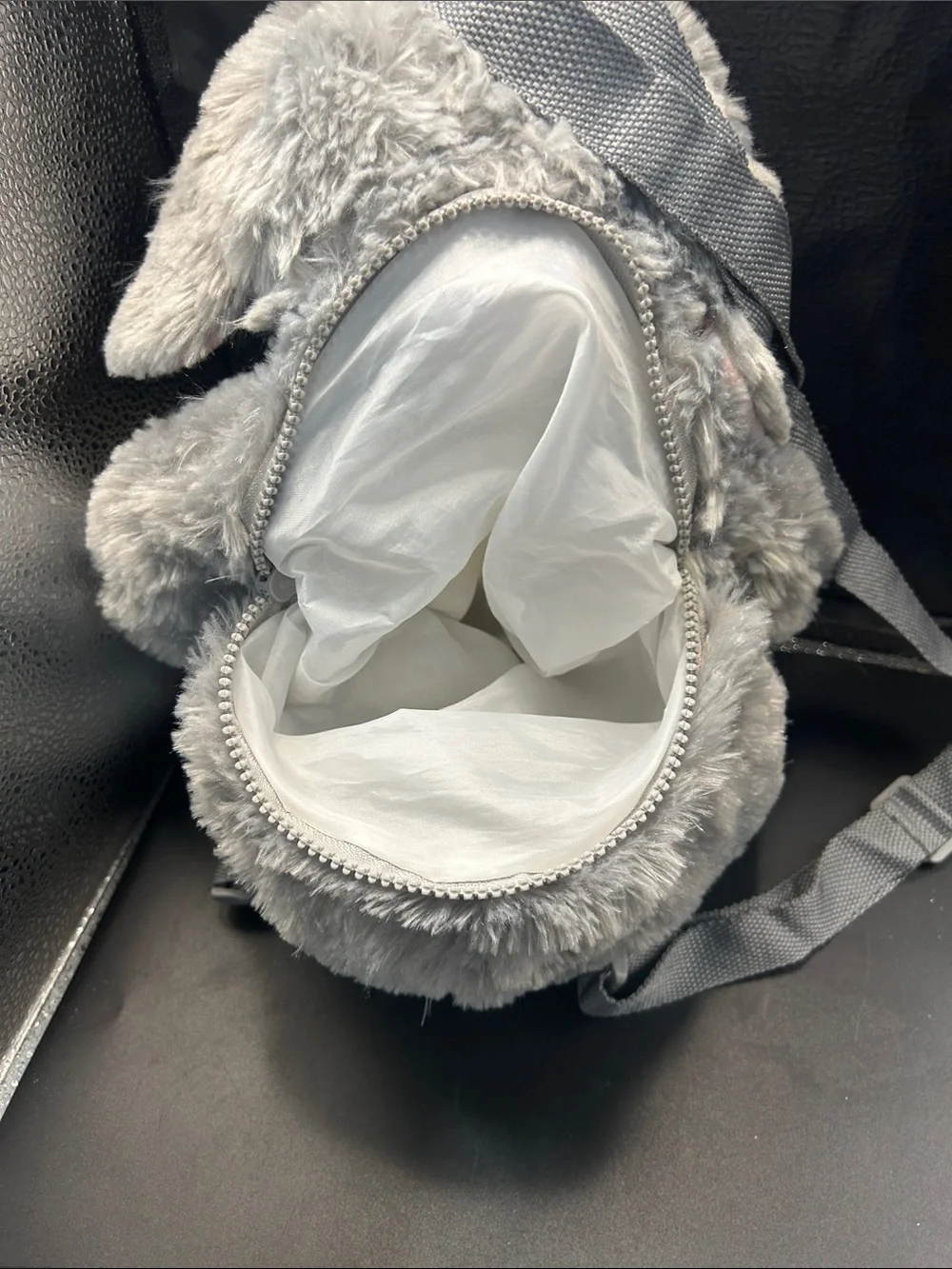 None cute gray